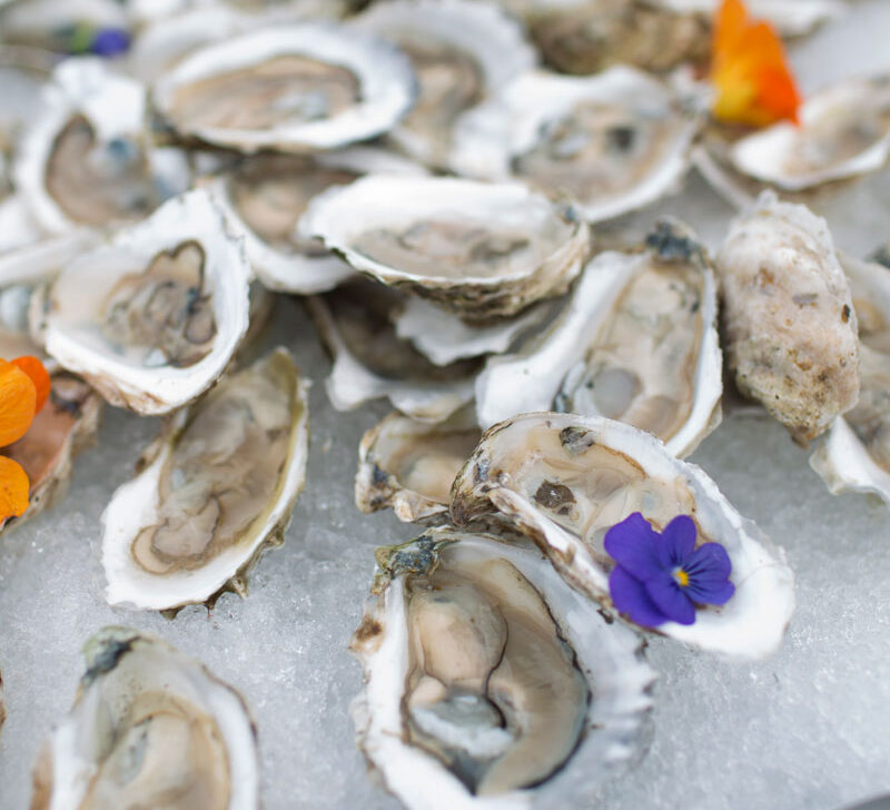 Raw oysters.