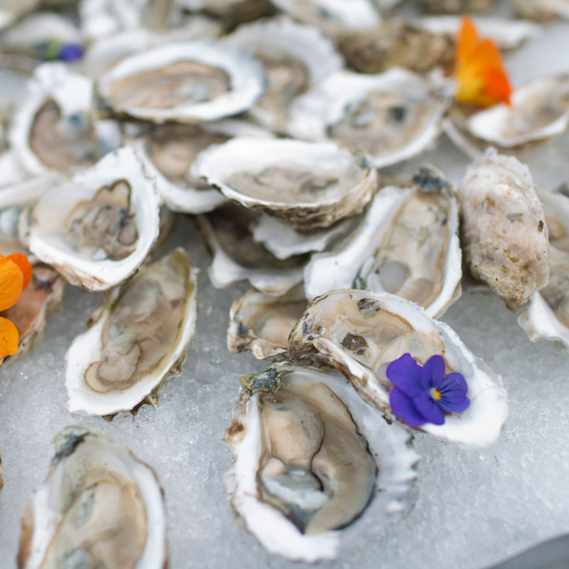 Raw oysters.